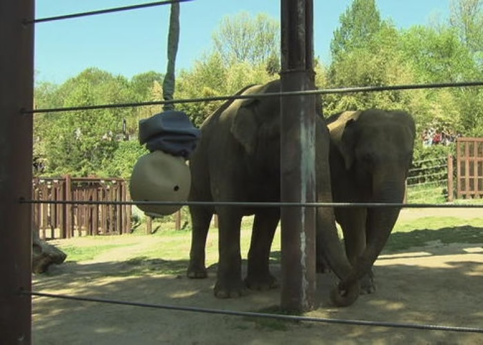 斯派克和拉尼一见如故。