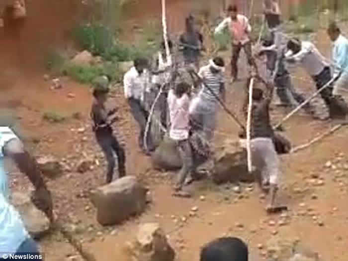 印度奥里萨邦黑熊攻击玩自拍男子 惨遭活活打死