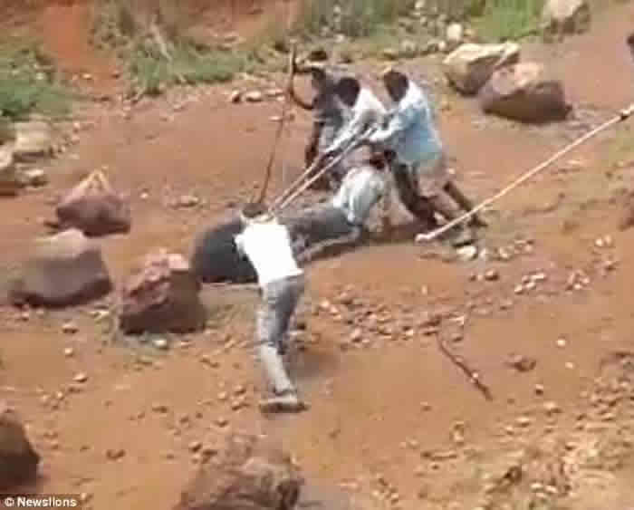 印度奥里萨邦黑熊攻击玩自拍男子 惨遭活活打死