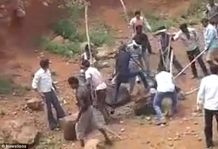 印度奥里萨邦黑熊攻击玩自拍男子 惨遭活活打死