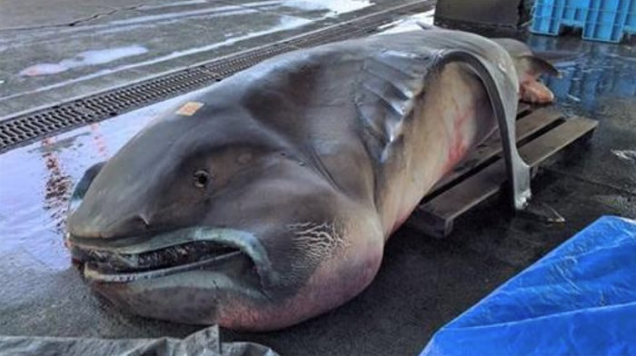 ձѷ贫ĵ㣬ʵ޿衣