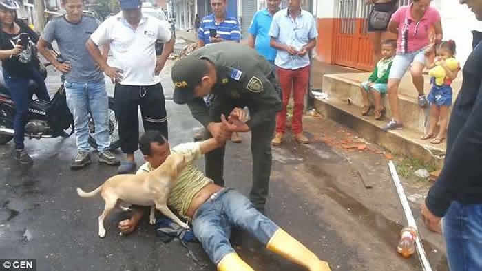 哥伦比亚男子醉卧街头 忠犬护主不容旁人接近