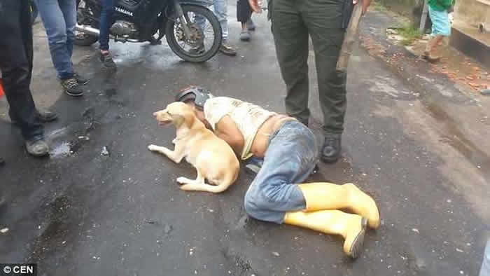 哥伦比亚男子醉卧街头 忠犬护主不容旁人接近