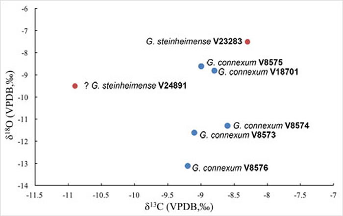 嵌齿象属碳、氧同位素分析结果 (吴妍供图)