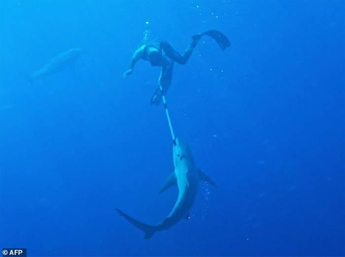 �������������ѹ����������� ������һ�Կ�����