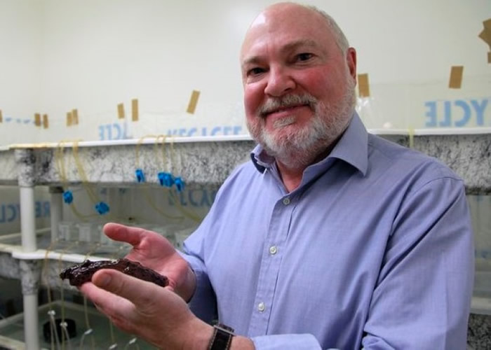 ��������ָ�о������˽⼰�����Բ�������