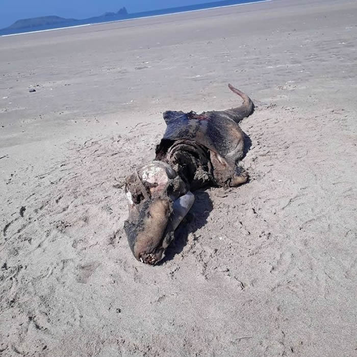 Ӣ������˹��̲�����Ѿ����õġ��������