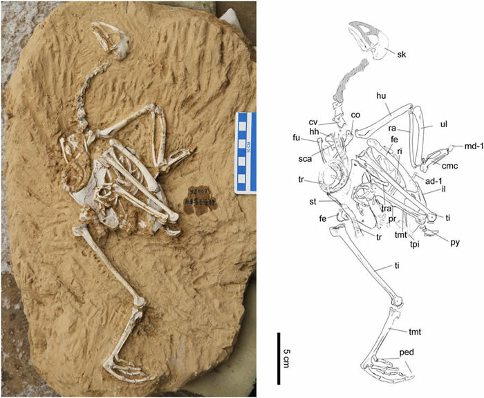 ������������ǰ�Ľ���֤�ݡ���������ط���һ������ʯ���֡�������������