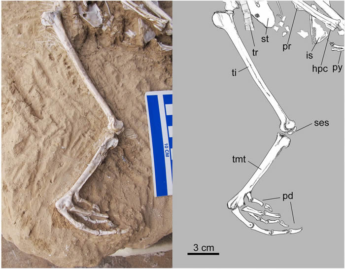 ������������ǰ�Ľ���֤�ݡ���������ط���һ������ʯ���֡�������������