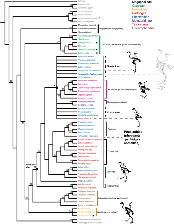 ������������ǰ�Ľ���֤�ݡ���������ط���һ������ʯ���֡�������������