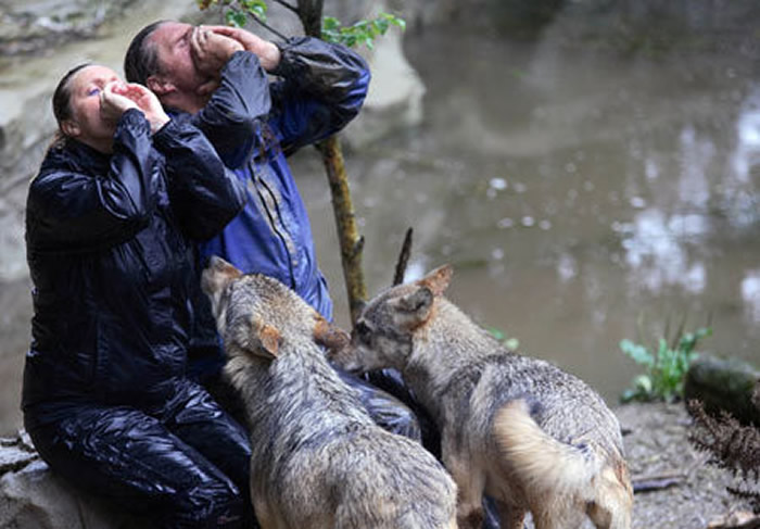 Ӣ������Ф��•����˹��Shaun Ellis��˫�ֹ�����ǰ����ǹ�ͨ��