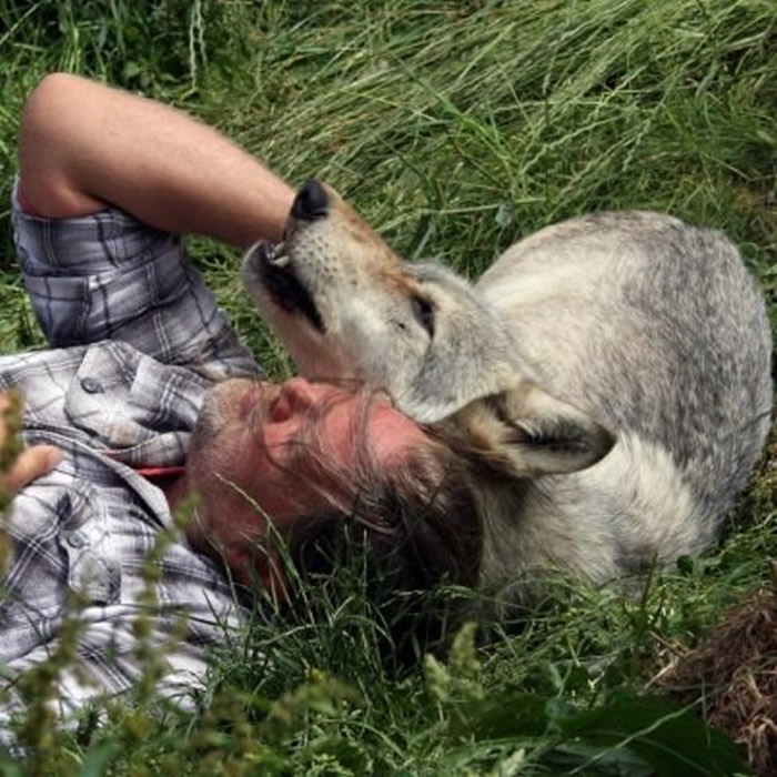 ����ͷ����Ф�����ϣ�2��һ�����ڲݵ�����ˣ��