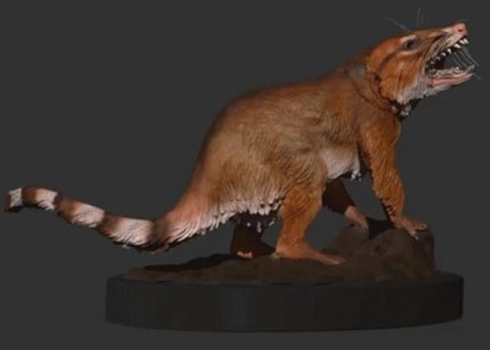 美国犹他州出土的1亿3千万年历史原始哺乳动物头骨化石或推迟大陆分裂时间