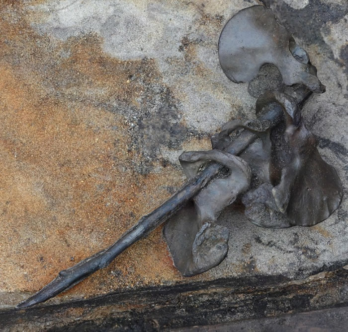 �ǿ��������������˸��ն����˽�սʱ�������ߡ�