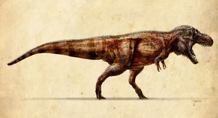 ٶȲᳬһճȷܴǳǿž֪Ĵ۾վڵϱֲܿ㣬۲춯壬Ȼ