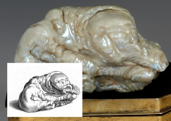 �����������һֻ����˯���˵�ʨ�ӣ�����С�˯ʨ��֮����