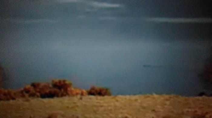 �������οͳ����ո�����˹��ֱ������20��ˮ�� ����˹��ˮ�ֹ۹�ǼǴ���֤