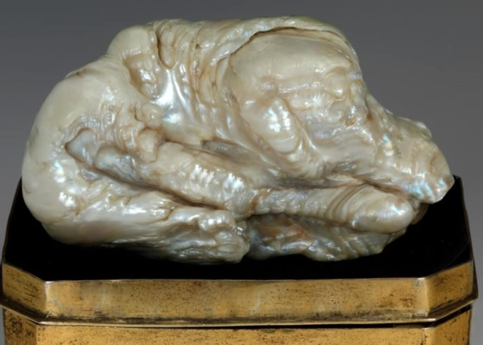 �����й��������Ȼ��ˮ���顰˯ʨ���ں�����������