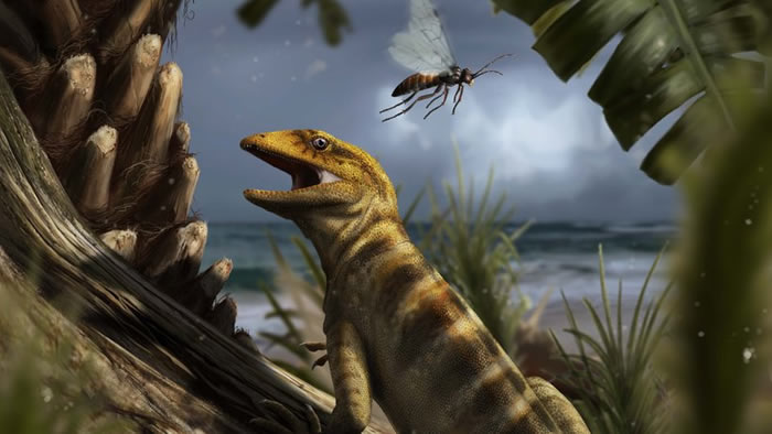 ����Ŀֱϵ���ȣ����ô��ѧ��֤������˹ɽ���ֵ����滯ʯ��������֮ĸ��