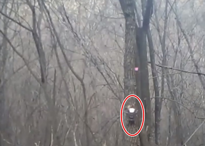 从山西太行山到陕西子午岭的林区设置了多部红外线触发相机(红圈示)。