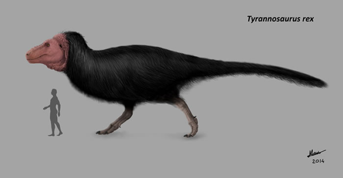 据说霸王龙长这个样子,你信吗?