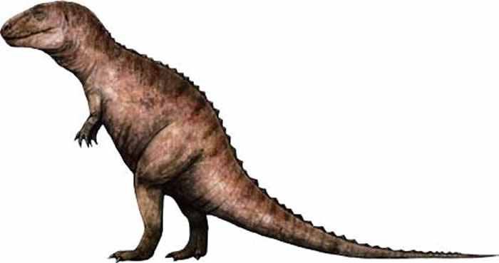 暴龙逐渐弯下了“腰”