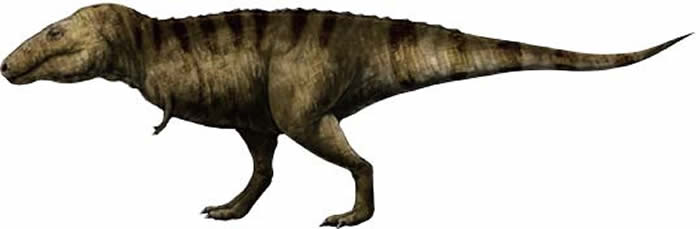 暴龙逐渐弯下了“腰”