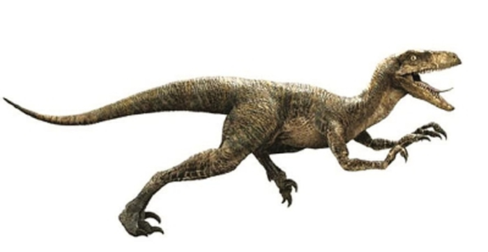 荧幕上的伶盗龙