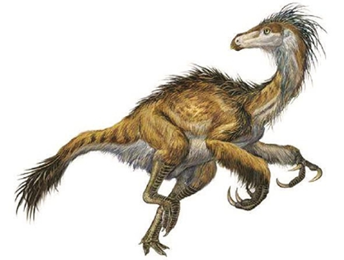 伶盗龙真实的样子