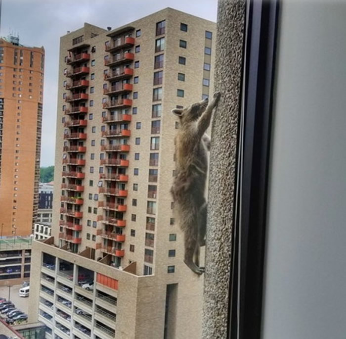 ���������մ���ʥ��������ܱ�����֩���ˡ����ϴ�¥��ǽ