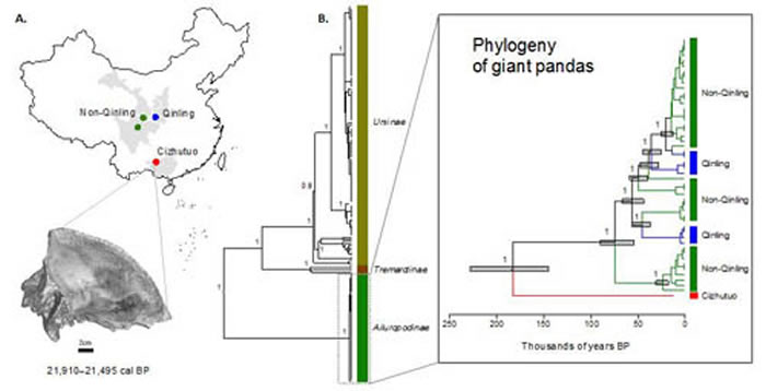 èķλ­ǵļϲɨͼ(A)èϵͳͼֵܿϵͳչصϵִèȺ