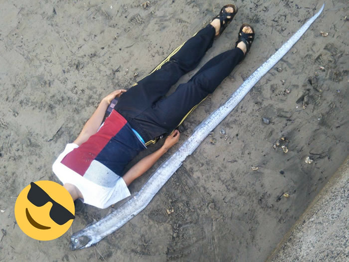 �ձ�������������ɹ�������������Ƭ 2�����汱������6.1��ǿ��