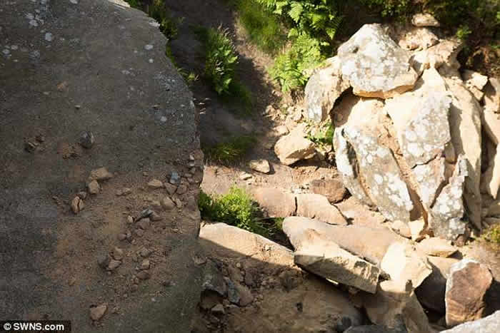 Ӣ����Լ�˿�5�������˿����ƻ�����ǰ����ʱ�����µġ�����ķ��ķ�ҡ�