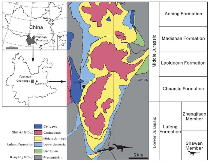 云南禄丰发现的一个基干蜥脚型类恐龙新属种——程氏星宿龙
