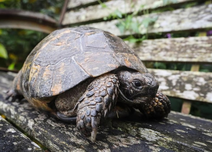 ���׵���ǰ�����˼�����ʧ��