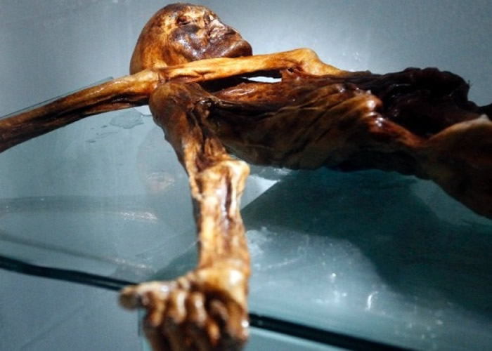 ���˰´ı�����á�