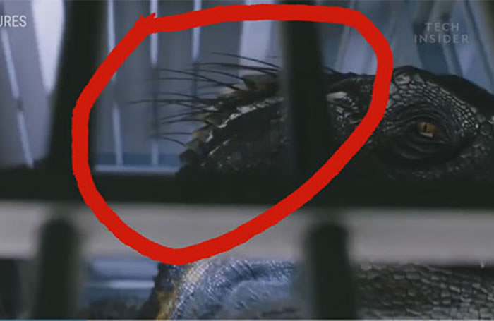 ��٪�޼����硷�й��ڿ�����5����ѧ����