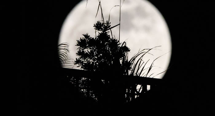 ӡ�������Ϊ�������������-3ͬλ�صĴ��