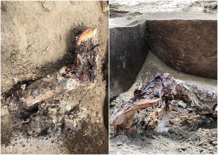 俄罗斯西伯利亚水坝底藏“睡美人”:2000年历史匈奴人女性干尸