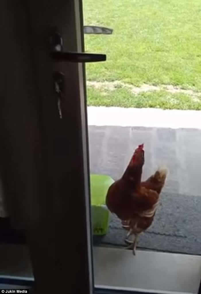 �����һֻ�������ļ�����Ȼ�����Ű��ֿ���