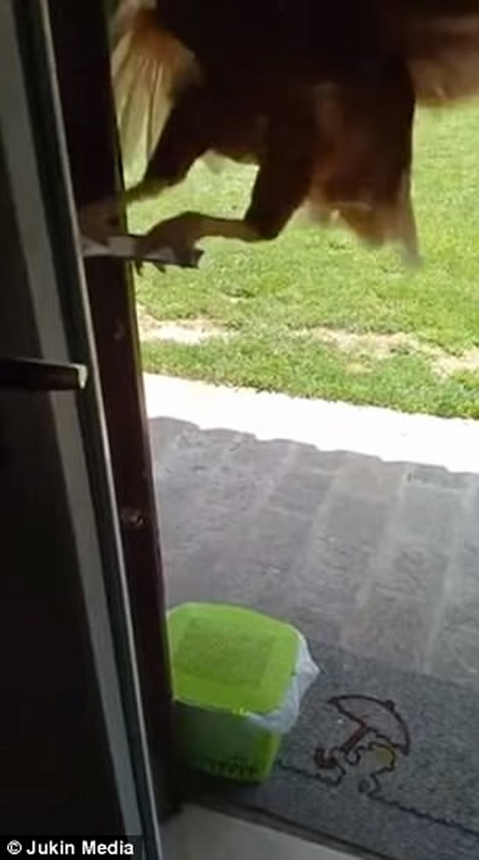 �����һֻ�������ļ�����Ȼ�����Ű��ֿ���