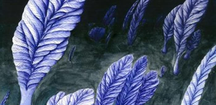 Ӣ�����Ŵ�ѧ���о������������������������б�󲢲���Ϊ��ʳ ���Ǹ��õط���