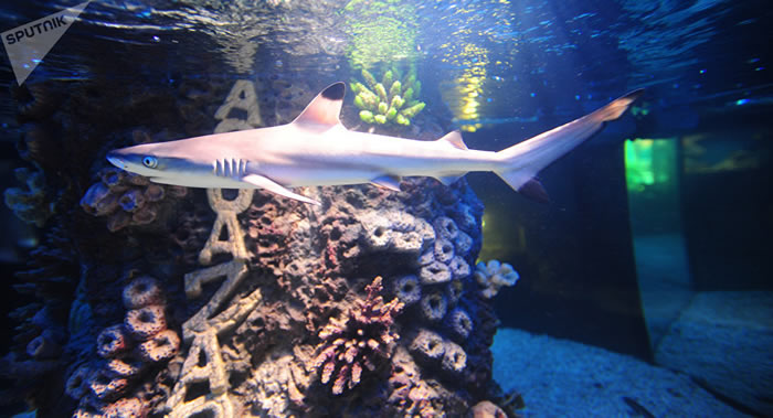 ��������ˮ���һ���ڱ�����������滷����Ƶ���𼫴��ŭ