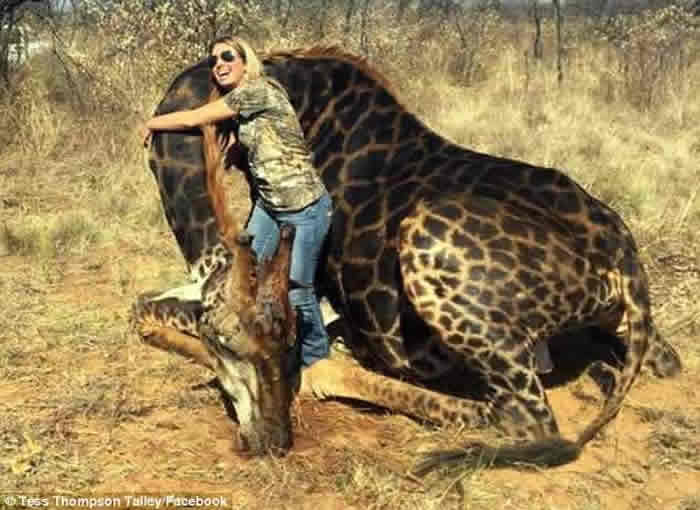 美国肯塔基州女猎人射杀稀有黑色长颈鹿 晒合照引众怒