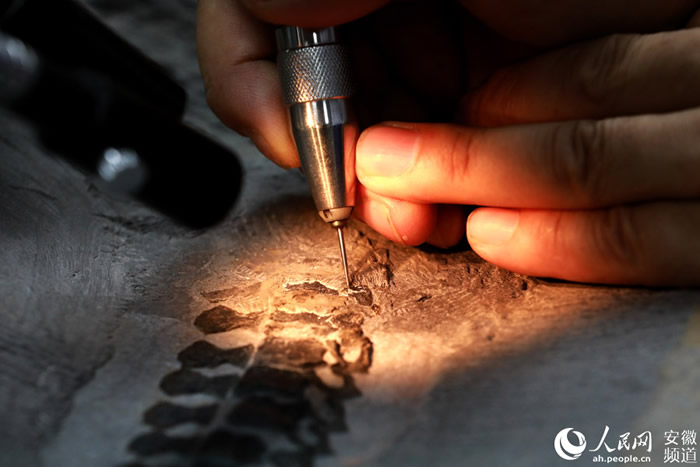 探秘“化石修复师”:别人修文物 我们修化石
