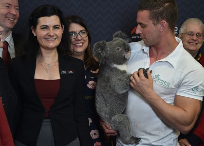 科学家在发表研究结果会上抱着树熊。