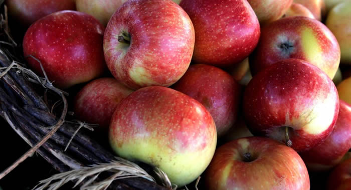 ����˹Ӫ��ʦ��ˮ������������ ���ϲ�Ҫ��ƻ��