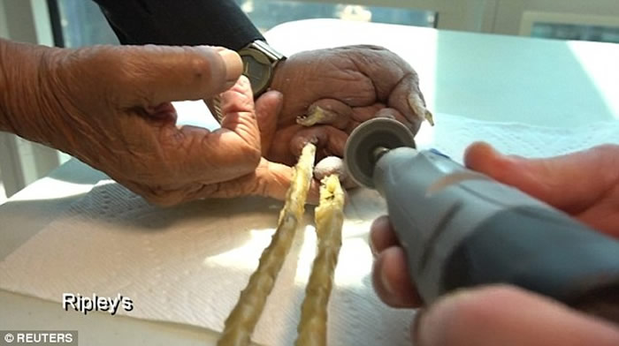 ٻ˹¼ȫָ¼ӡڰָ׼