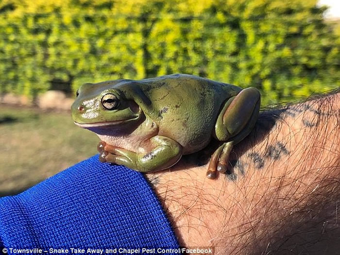 ���޲����˳ɹ����ķθ��շ���CPR���Ȼ��߿����³���С����