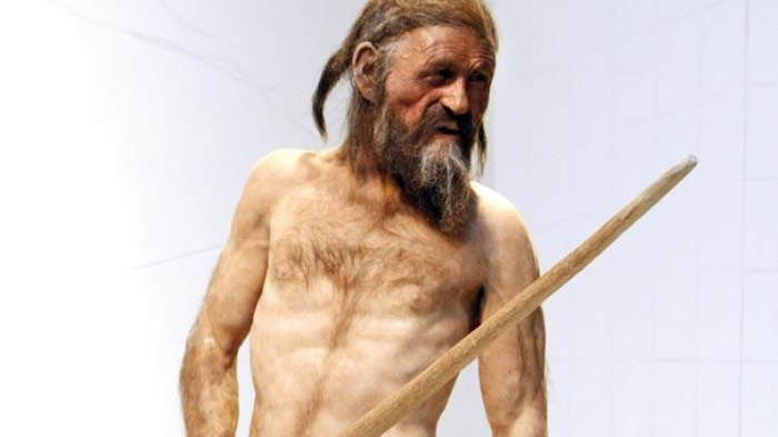 ��ѧ�һ�ԭ5300��ǰ���˰´��������ͣ�һ�붼��Ұ�������¹��ȸ�֬ʳ��